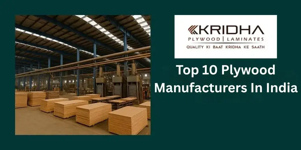 Top 10 Plywood Manufacturers In India